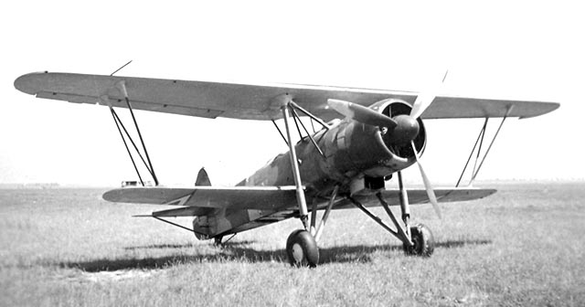 WM 21 Sólyom